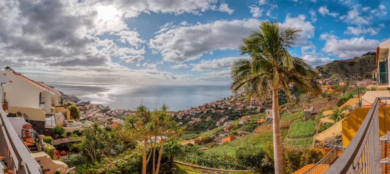 Palm Tree House By Amazing Madeira Villa Câmara de Lobos Eksteriør bilde