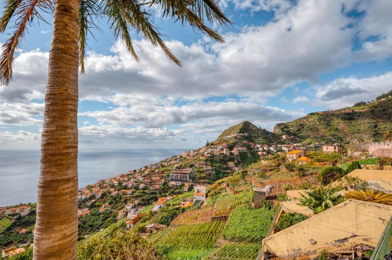 Palm Tree House By Amazing Madeira Villa Câmara de Lobos Eksteriør bilde